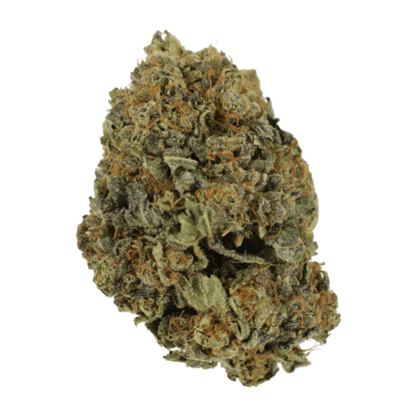 White Shark – 1 ounce | MMJDirect Canada