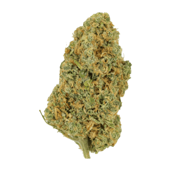 Lemon Bomb | MMJDirect Canada