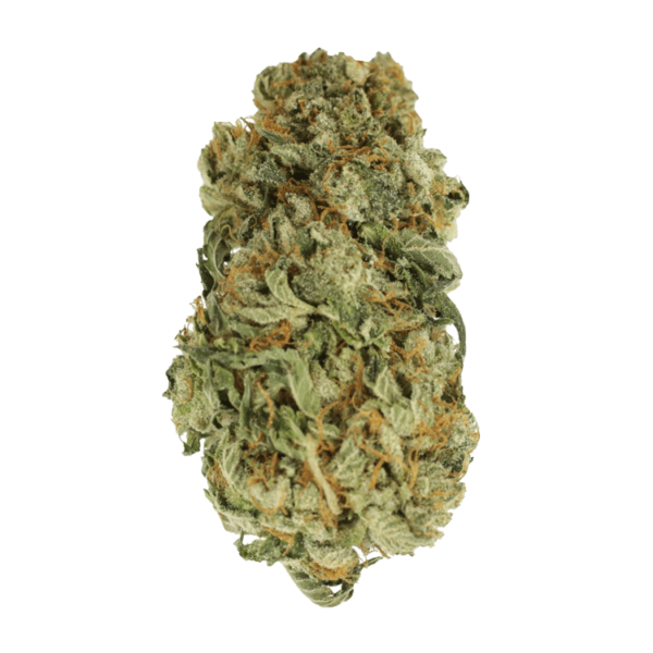 King Louis – 1 ounce | MMJDirect Canada