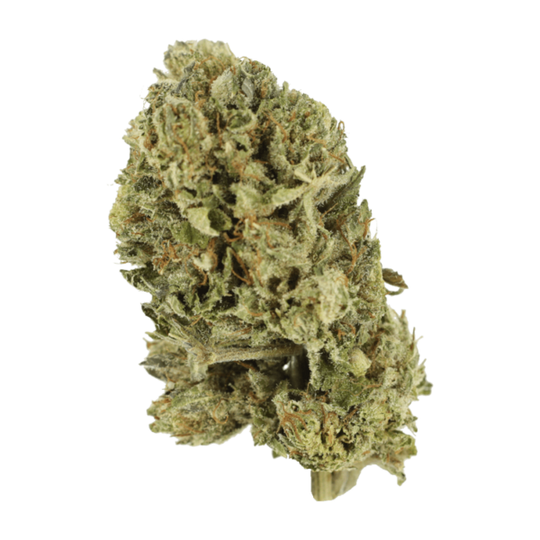 Purple OG Kush – 1 ounce | MMJDirect Canada
