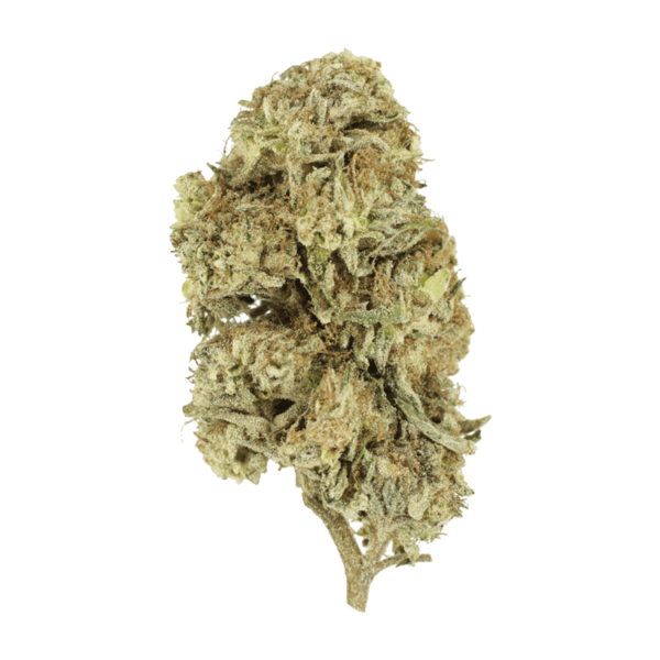 Cherry Wine (CBD) | MMJDirect Canada