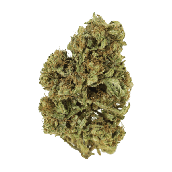 Cherry Wine (CBD) | MMJDirect Canada