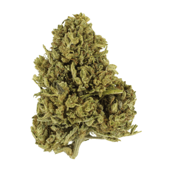 Cherry Wine (CBD) | MMJDirect Canada