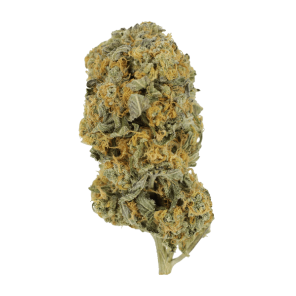 Sour Prince | MMJDirect Canada