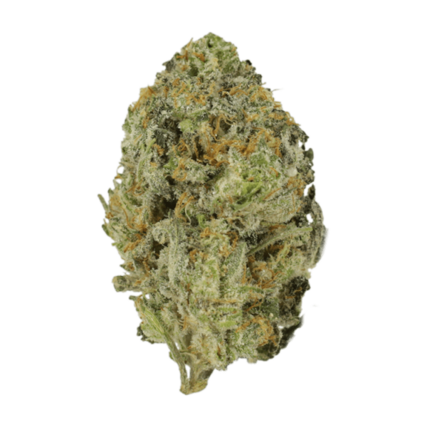 Skywalker OG | MMJDirect Canada