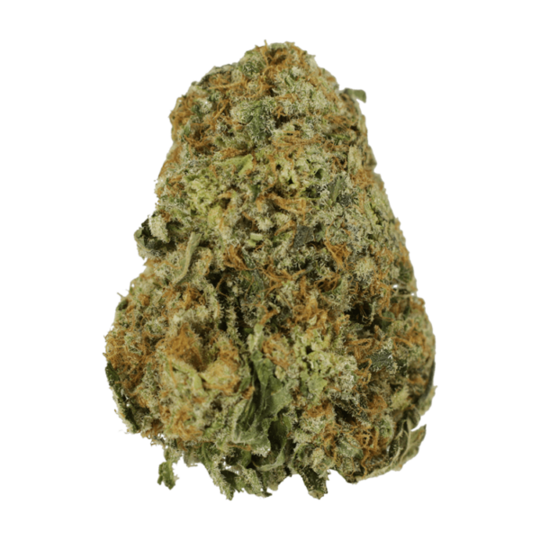 High School Sweetheart | MMJDirect Canada