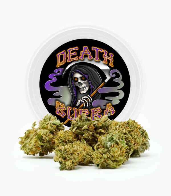 Westcoast Cali Tins – Premium Flower – Skywalker OG – 3.5g | MMJDirect Canada