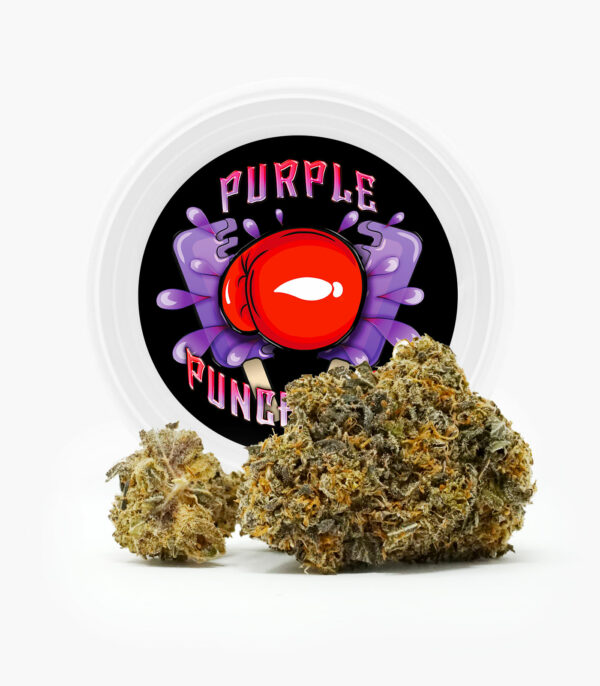 Westcoast Cali Tins – Premium Flower – Purple Punchsicle – 14g | MMJDirect Canada