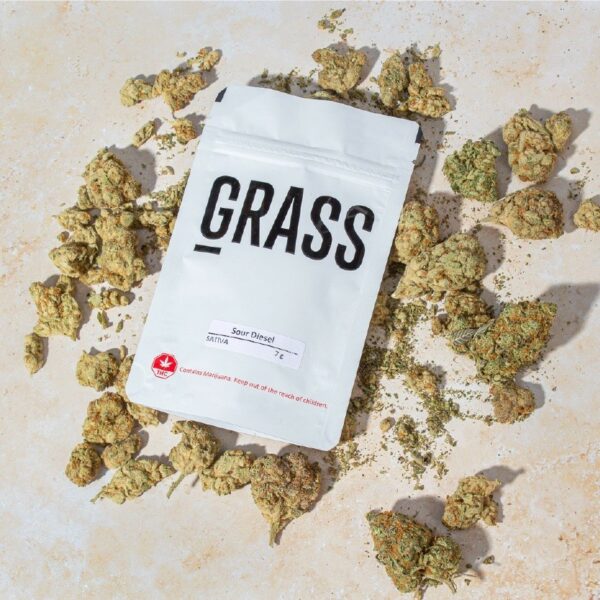 1/2OZ Sample Pack (AAA) – SAVE 20% | MMJDirect Canada