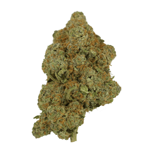 Tropicana Cookies | MMJDirect Canada