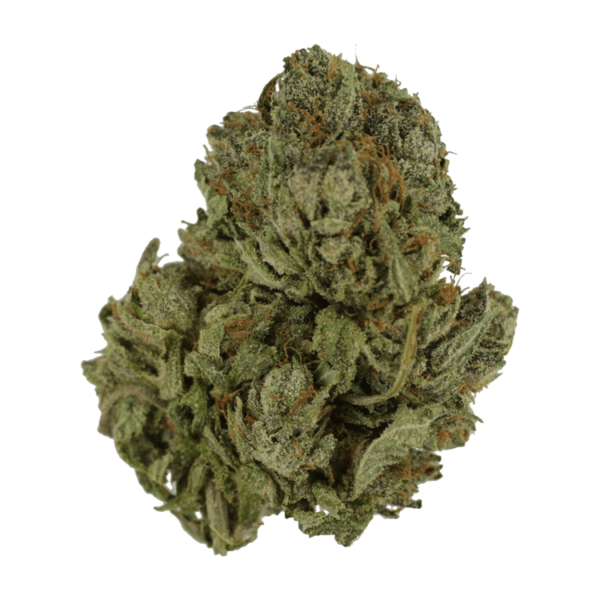 Salt Pot – Corn Nuts – 250mg THC | MMJDirect Canada
