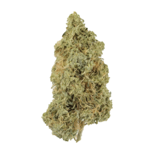 Tropicana Cookies | MMJDirect Canada