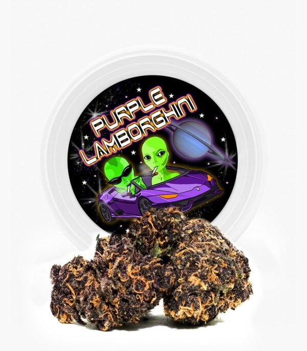 Westcoast Cali Tins – Premium Flower – Purple Lamborghini – 3.5g | MMJDirect Canada