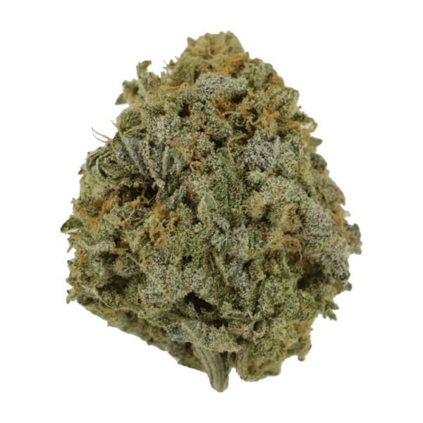 Pink Tuna (Popcorn) – $40/oz | MMJDirect Canada