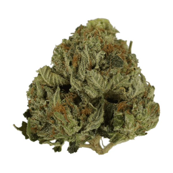 Pink Animal – 1 ounce | MMJDirect Canada