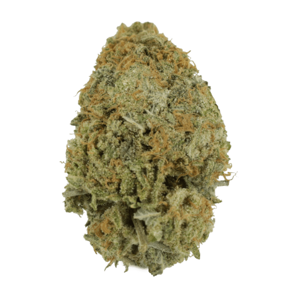 Pink Tuna (Popcorn) – $40/oz | MMJDirect Canada