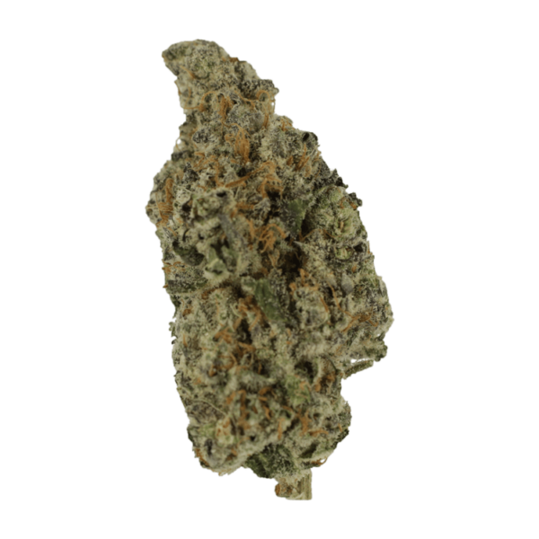 Biscotti Sundae | MMJDirect Canada