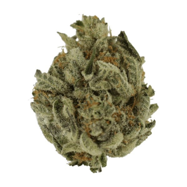 Biscotti Sundae | MMJDirect Canada