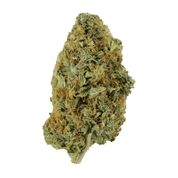 Purple Tuna – 1 ounce | MMJDirect Canada