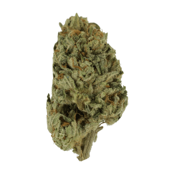 Biscotti Sundae | MMJDirect Canada