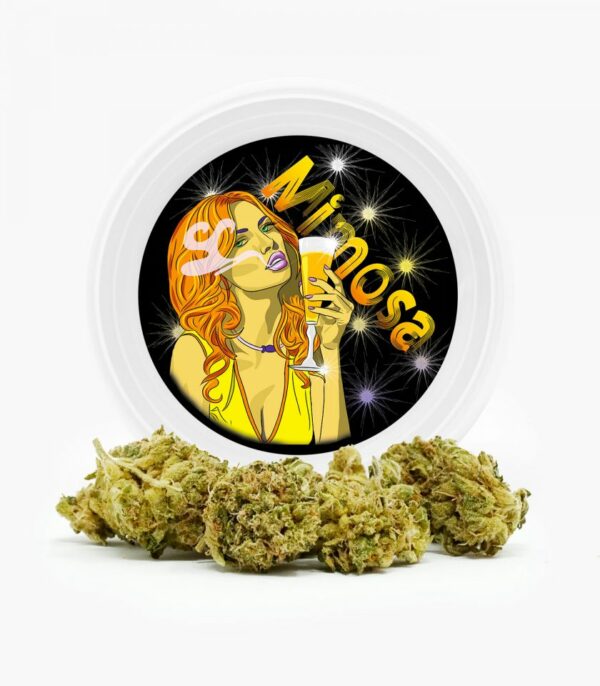 Westcoast Cali Tins – Premium Flower – Mimosa – 3.5g | MMJDirect Canada