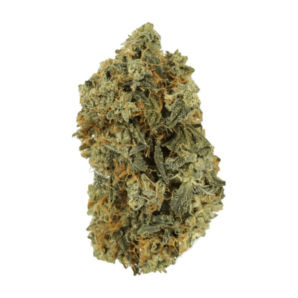 Blackwater | MMJDirect Canada