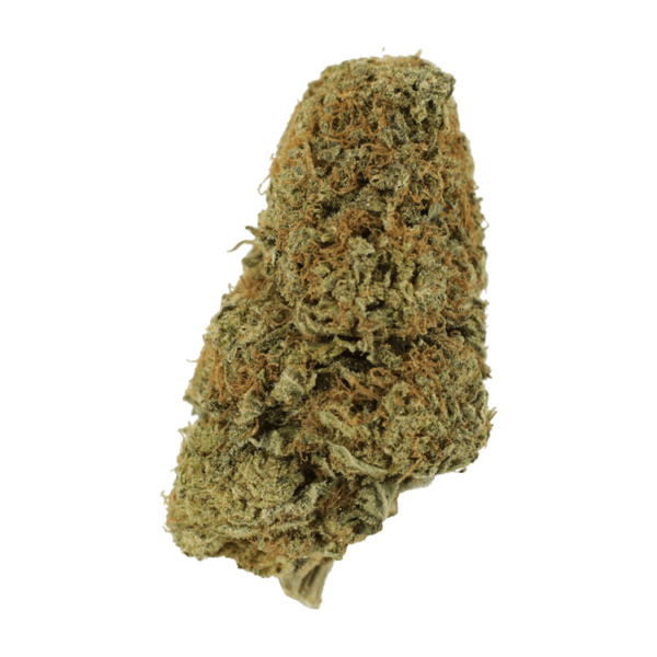 Sugar Pine | MMJDirect Canada