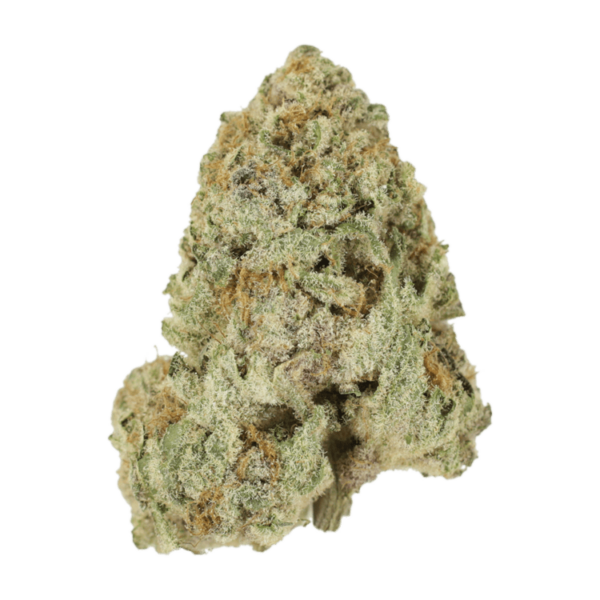 Dank Schrader | MMJDirect Canada