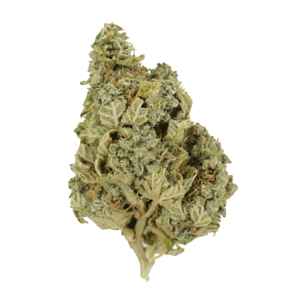 Khalifa Kush | MMJDirect Canada