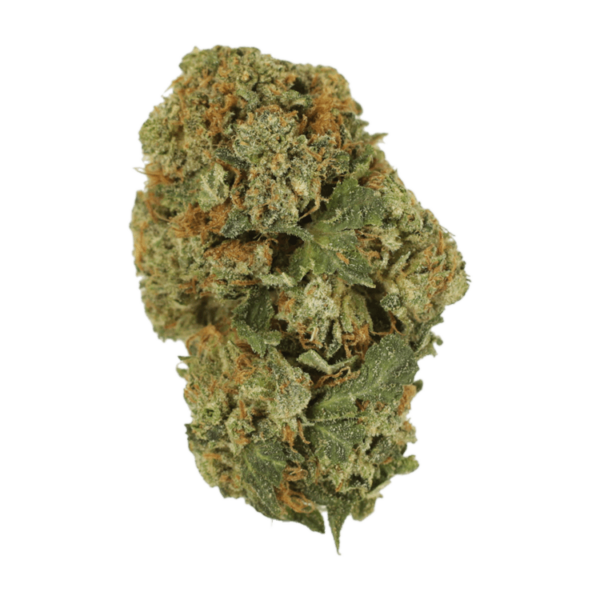 Dank Schrader | MMJDirect Canada