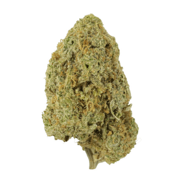 Sugar Pine | MMJDirect Canada