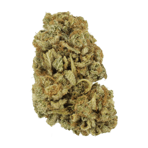 Blackwater | MMJDirect Canada