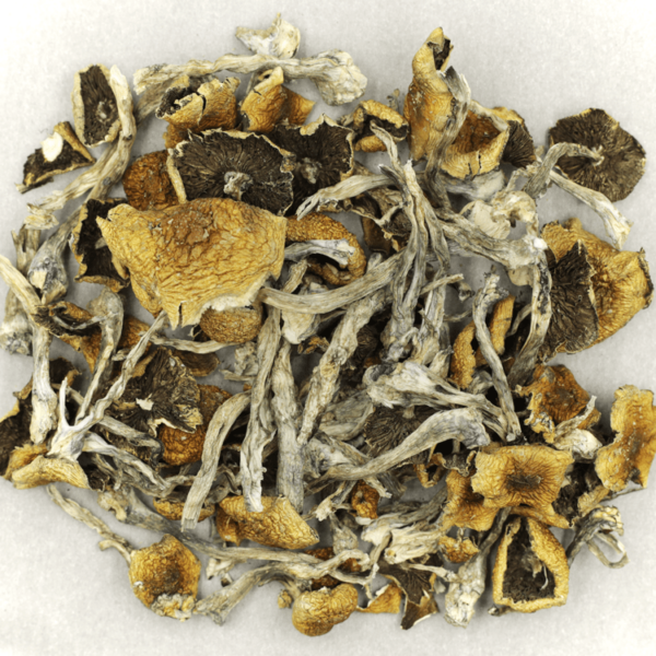 Florida White | MMJDirect Canada