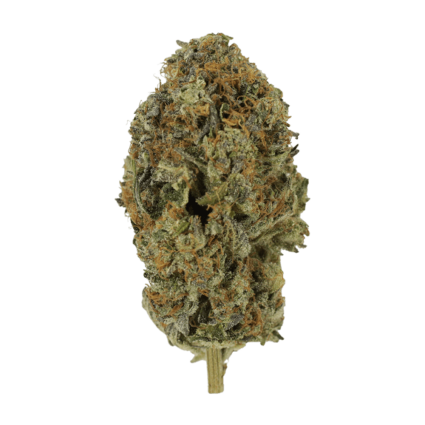 Acapulco Gold | MMJDirect Canada