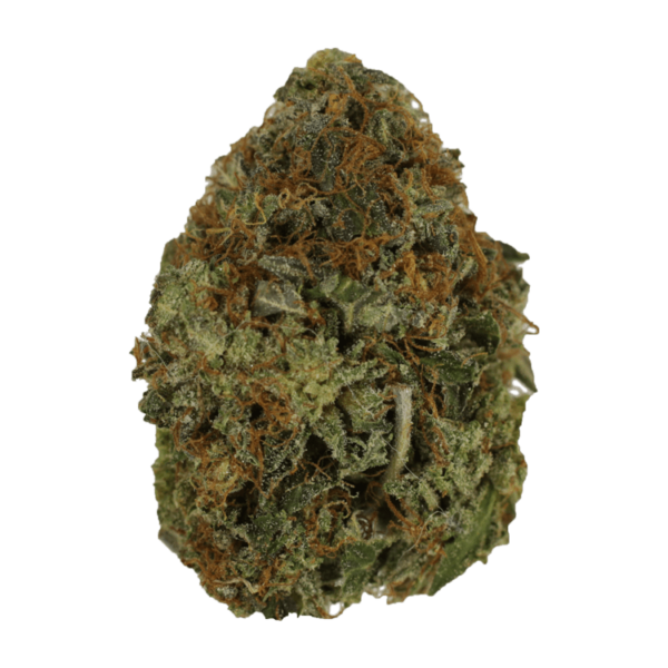 Orange Romulan | MMJDirect Canada