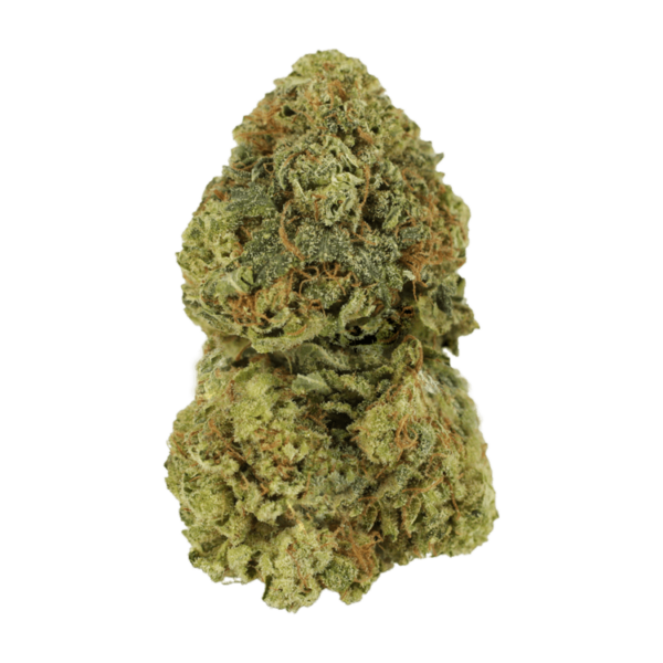 Critical Mass | MMJDirect Canada