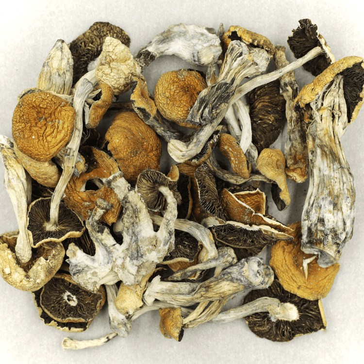 Puerto Rican | MMJDirect Canada Puerto Rican | MMJDirect Canada