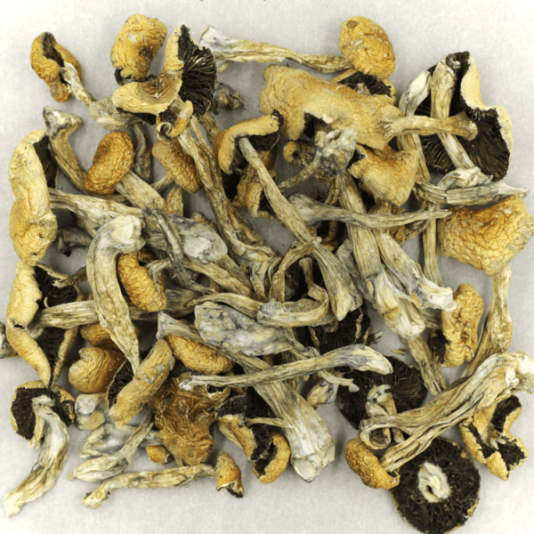 Puerto Rican | MMJDirect Canada