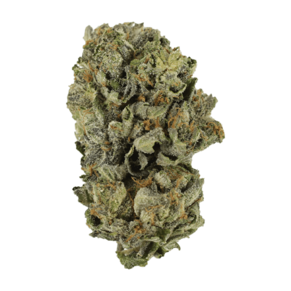 Cerebro Haze | MMJDirect Canada