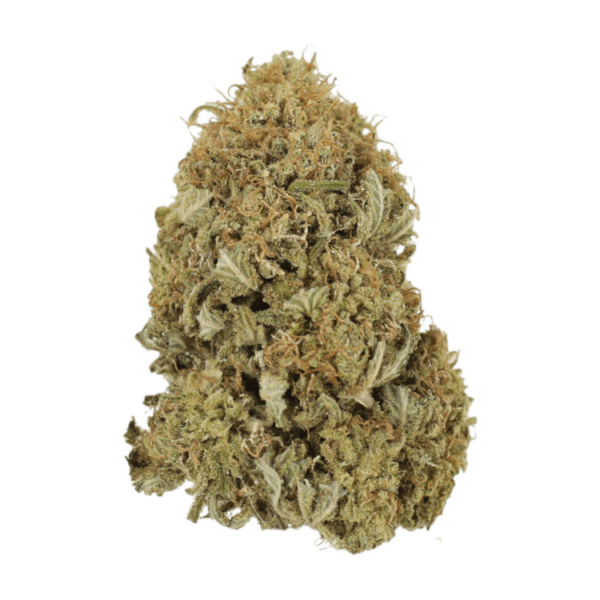 G13 | MMJDirect Canada