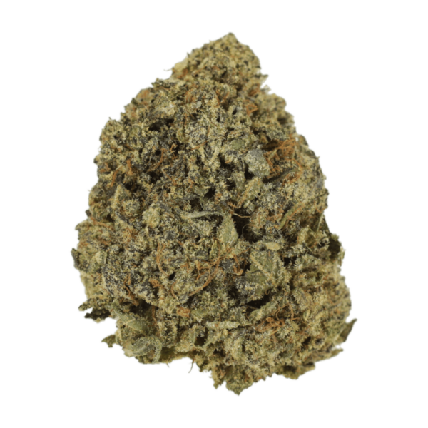 G13 | MMJDirect Canada