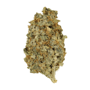 Mint Cookies | MMJDirect Canada