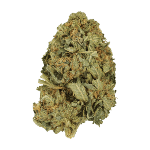 G13 | MMJDirect Canada