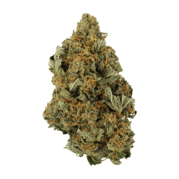 God’s Bubba | MMJDirect Canada