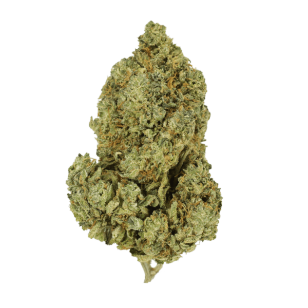 Scooby Snacks | MMJDirect Canada