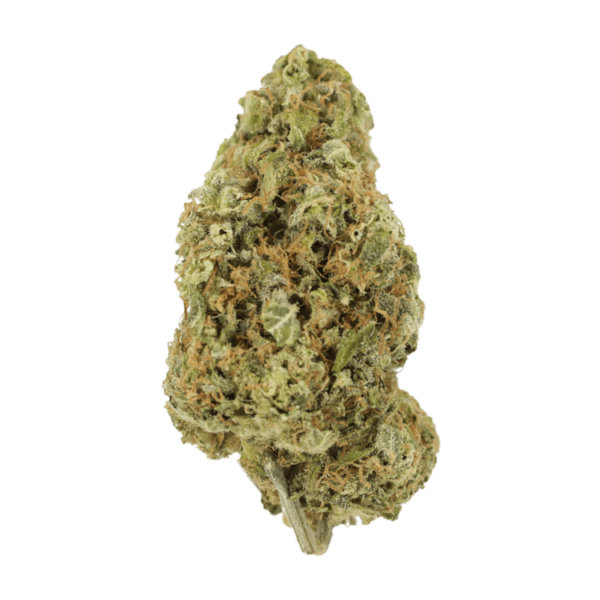 Sour Jack | MMJDirect Canada