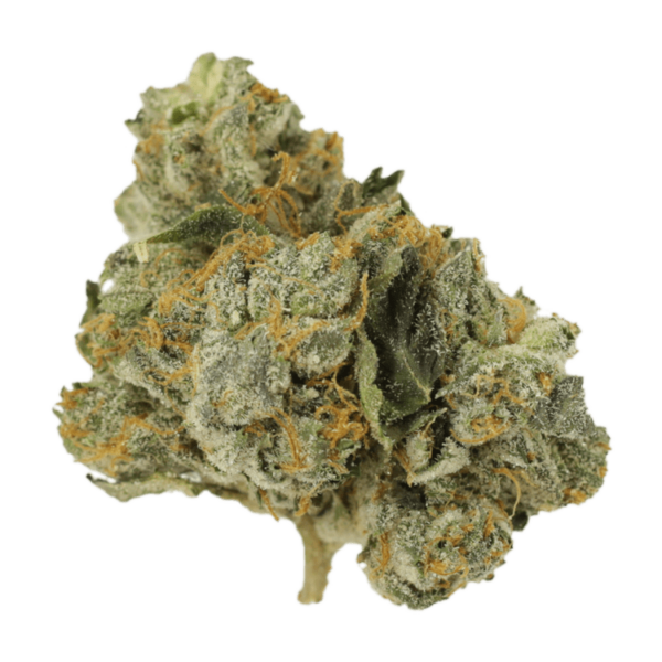 Mango Cream | MMJDirect Canada