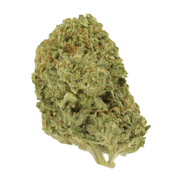 Mango Cream | MMJDirect Canada
