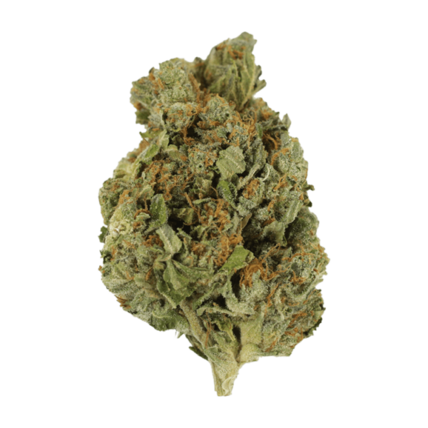 Mango Cream | MMJDirect Canada