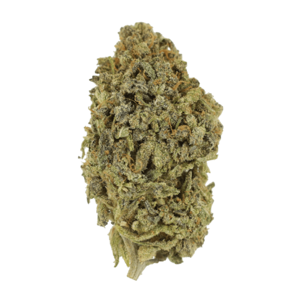 Watermelon Gelato | MMJDirect Canada
